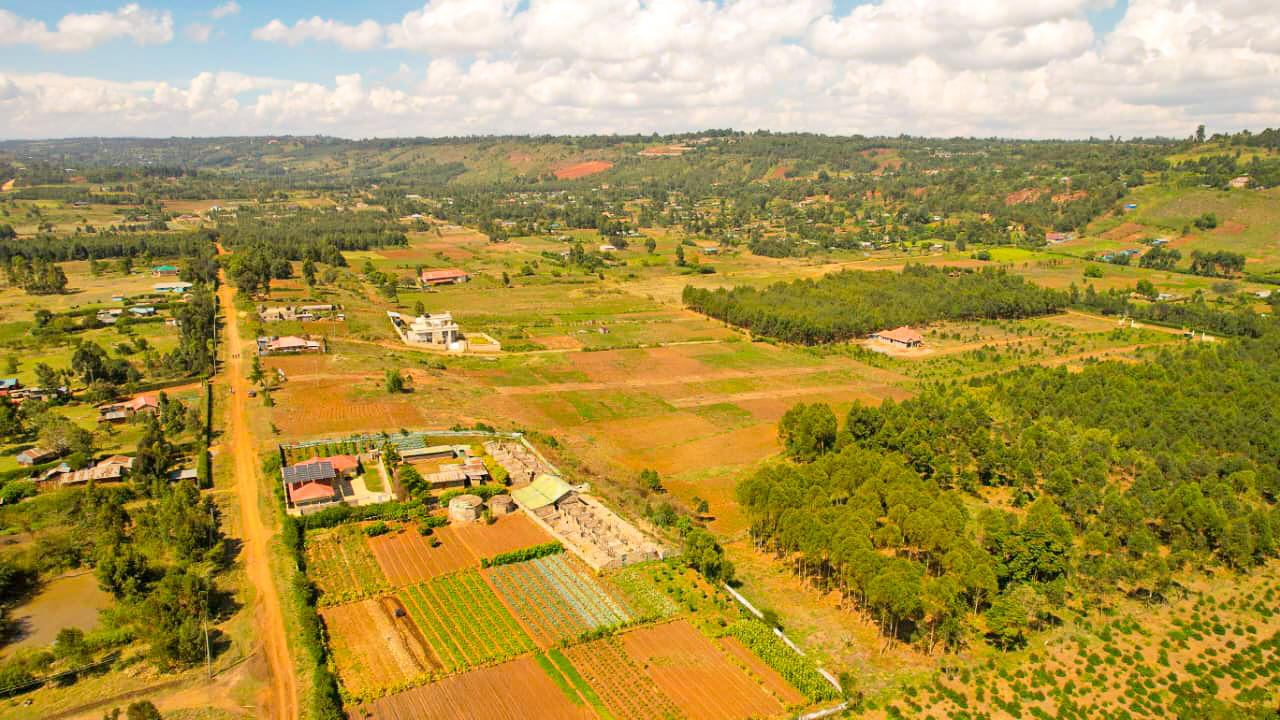 WhatsApp Image 2025-12-31 at 11.57.14 (1)