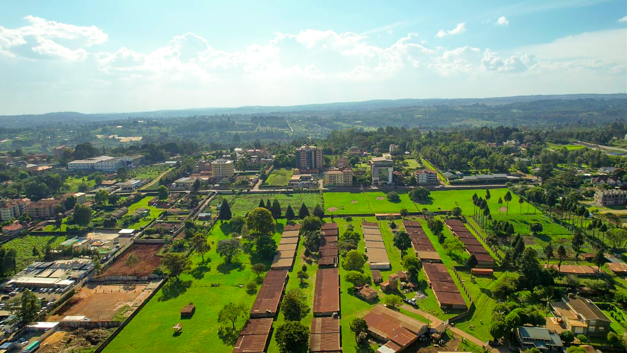 WhatsApp Image 2025-12-31 at 11.57.16 (1)