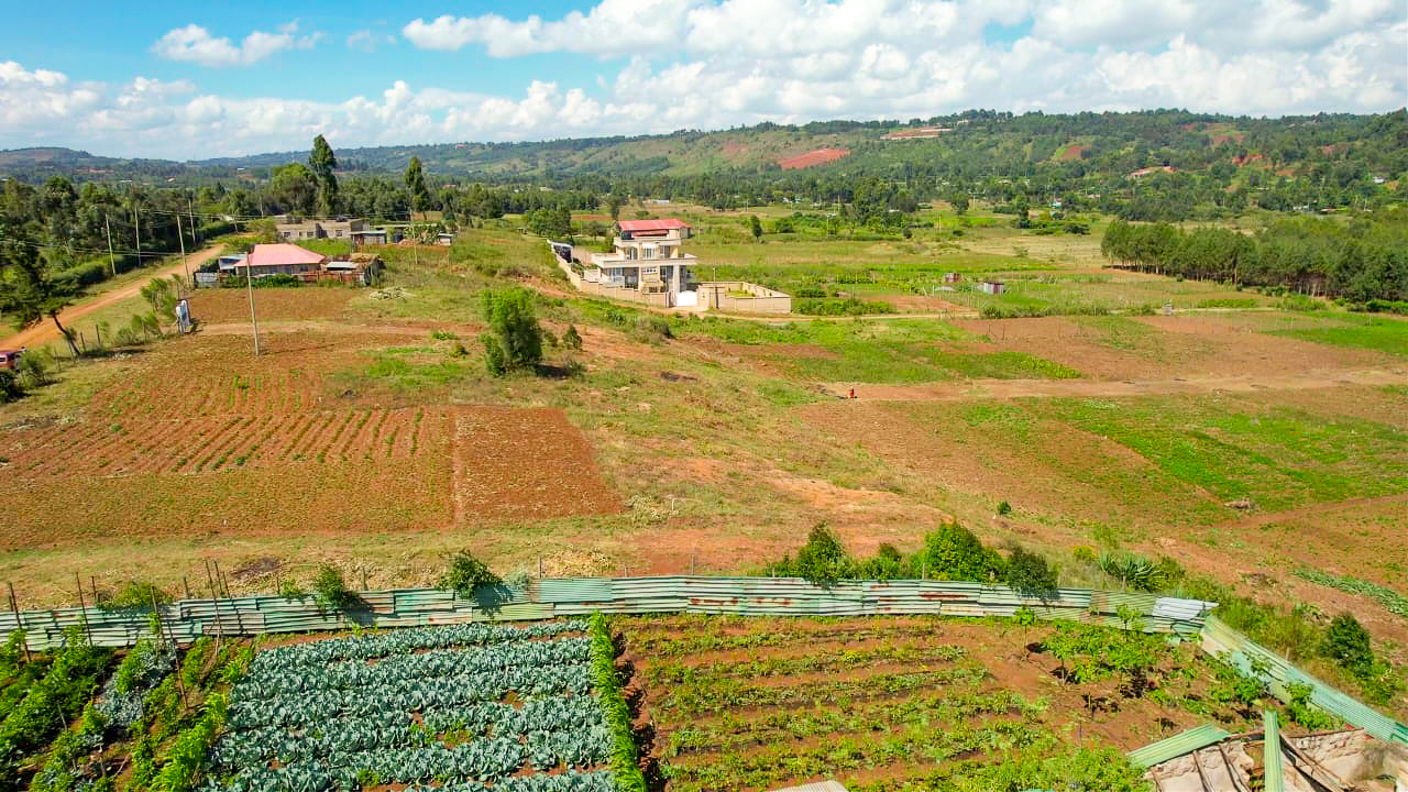 WhatsApp Image 2025-12-31 at 11.57.21