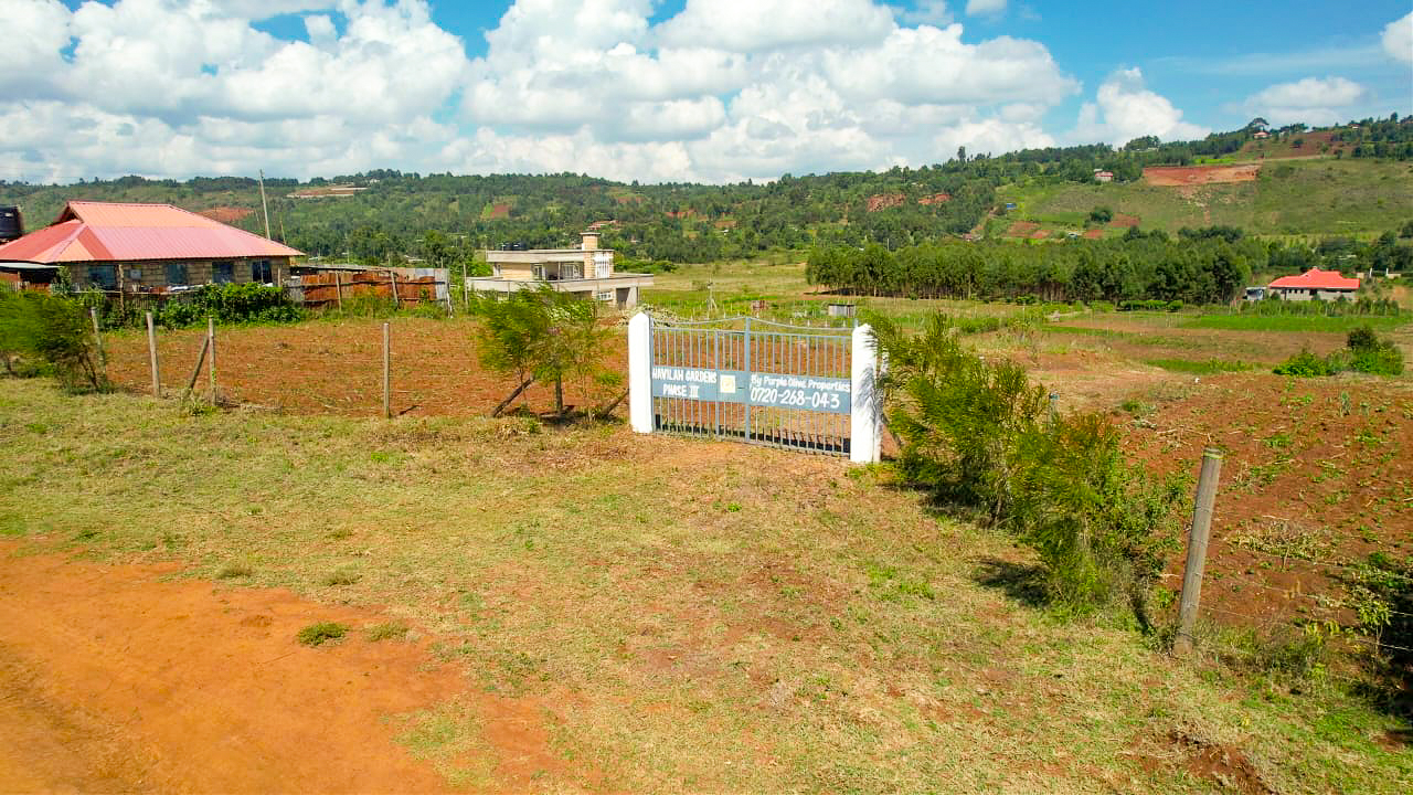 WhatsApp Image 2025-12-31 at 11.57.22 (1)