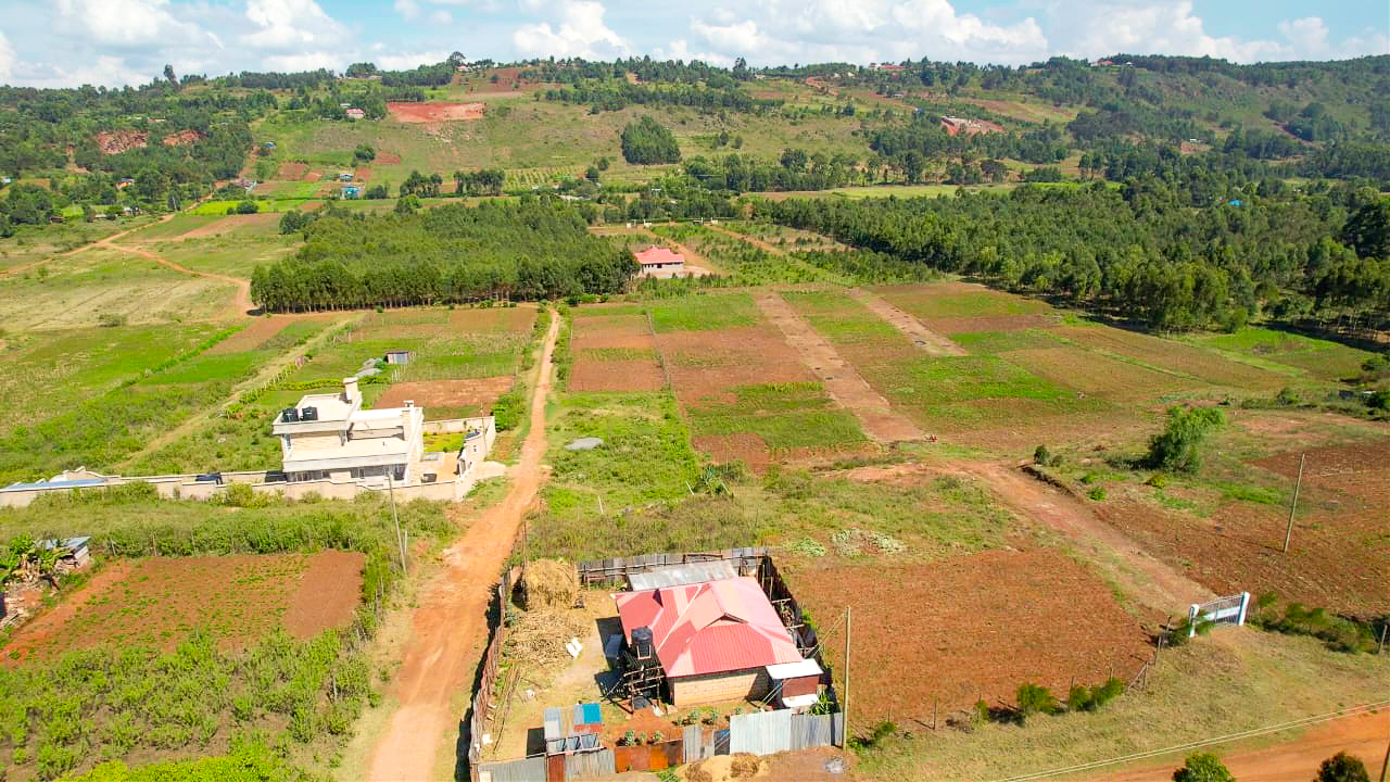 WhatsApp Image 2025-12-31 at 11.57.23 (1)