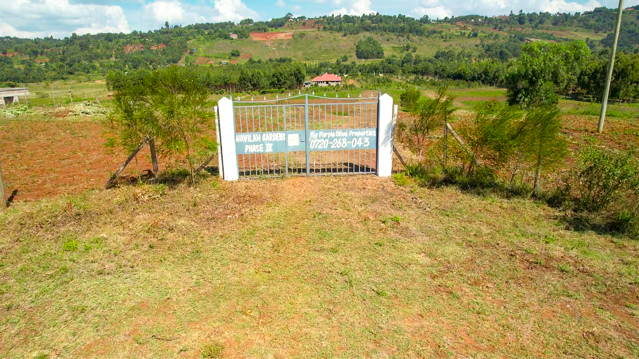 WhatsApp Image 2025-12-31 at 11.57.23 (2)