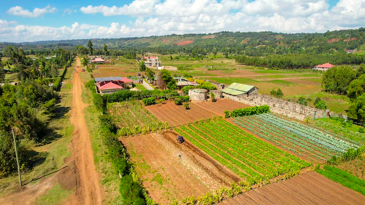 WhatsApp Image 2025-12-31 at 11.57.23