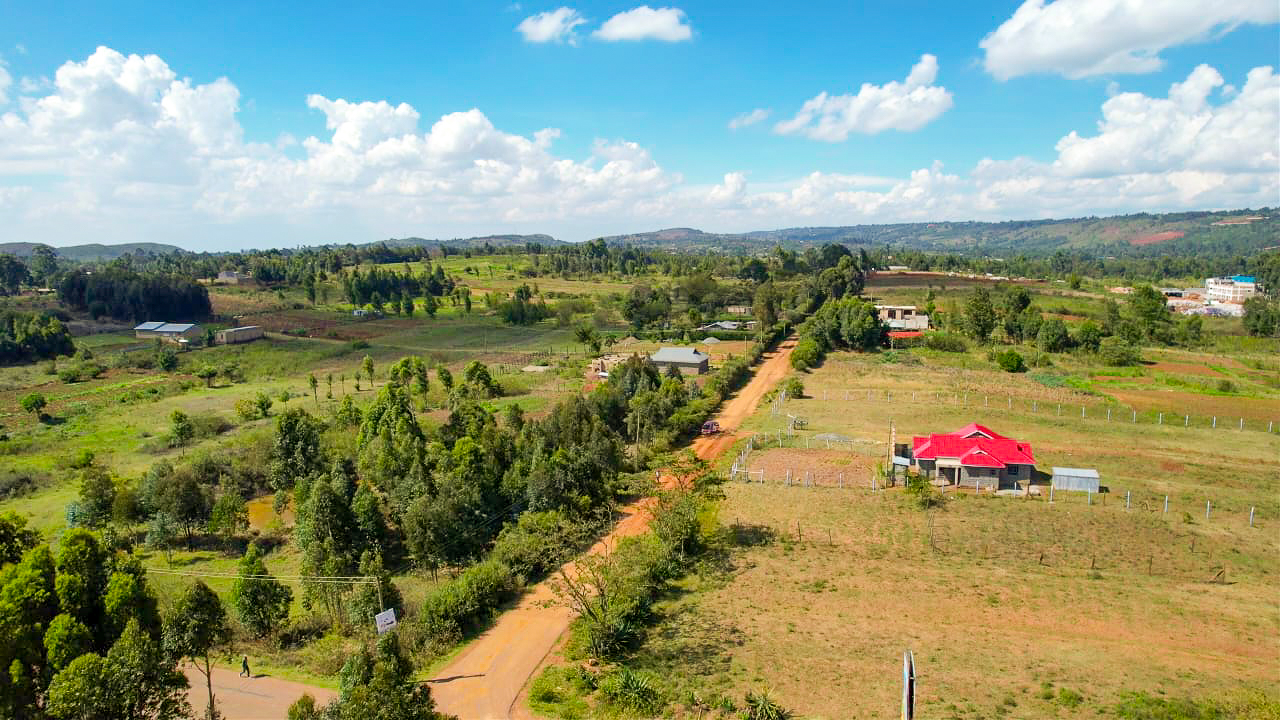 WhatsApp Image 2025-12-31 at 11.57.31